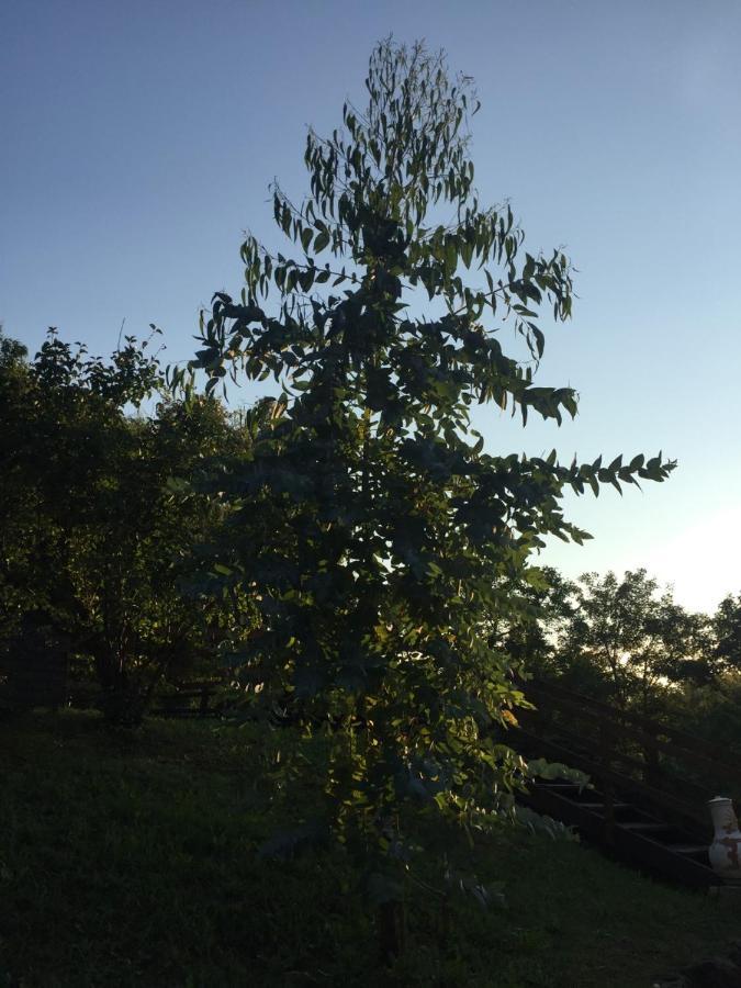 Au Son De L Angelus Bed and Breakfast Moncrabeau Εξωτερικό φωτογραφία